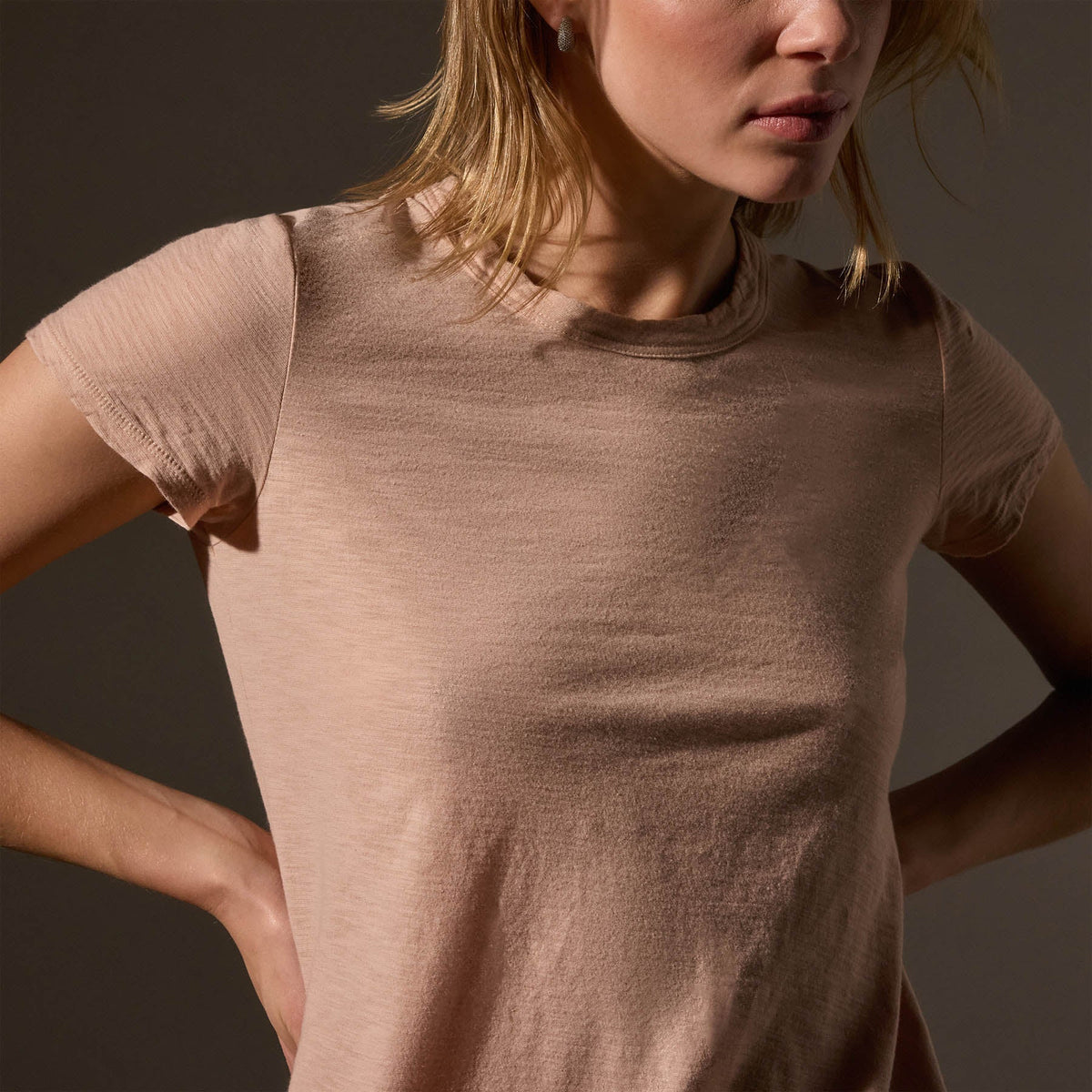 Sheer Slub Crew Neck Tee in Rose Nude | James Perse Los Angeles