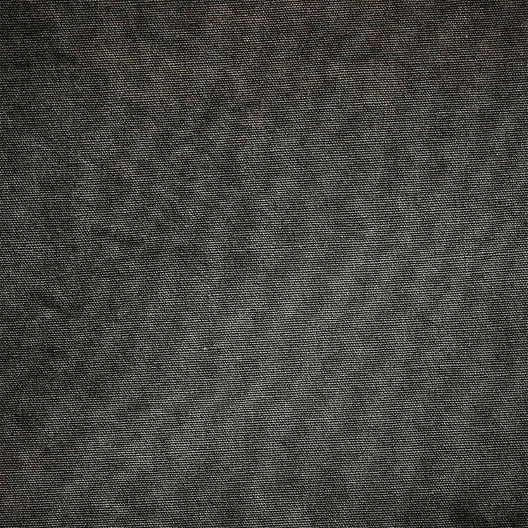 Parachute Flight Pant in Marsh Pigment | James Perse Los Angeles